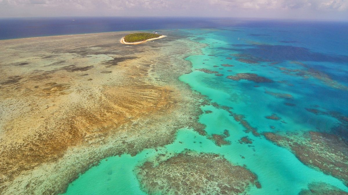 Velký bariérový útes přišel o polovinu svých korálů